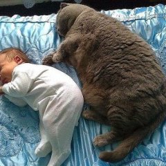 Ну и кого мама лучше кормит
