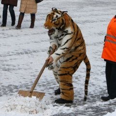 Снегоуборочная техника