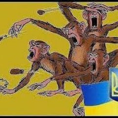 Украина