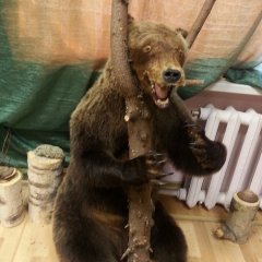Владимир Верховцев