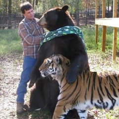 Я и мое кот