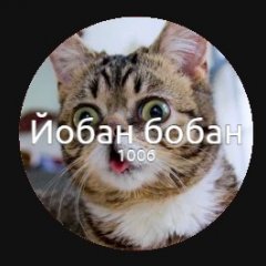 Йобан Бобан чашка петри