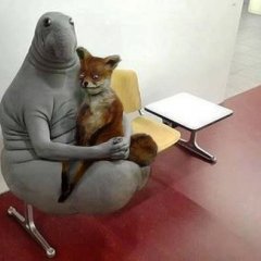 Ждун