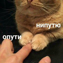 123