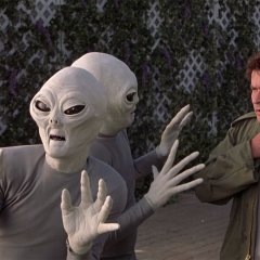 39