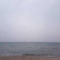 Asdasdadsa