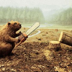 Бобр