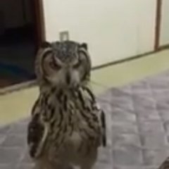 Че че че кто кто это кинул