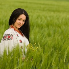ЦЫГАНОИДЫ БЕЛЫЕ НИГЕРЫ