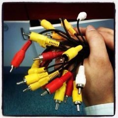 Дарите женщинам тюльпаны