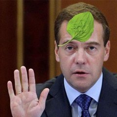 Дима не болей