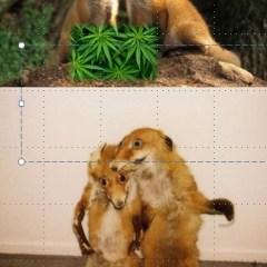 Ха-ха