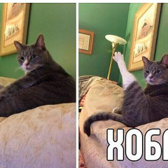 Хоба
