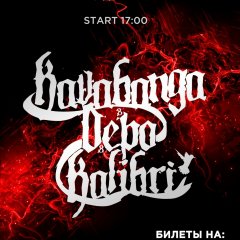 Кактусы