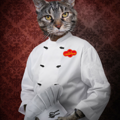Котик шеф