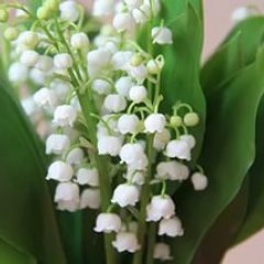 Ландыши
