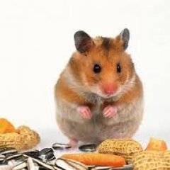 Наум