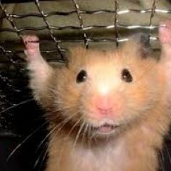 Наум