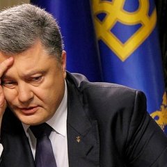 Петенадопити