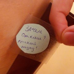 Приклей назад