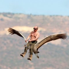 Путин на стерхе