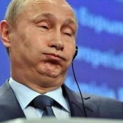 Путин рожа