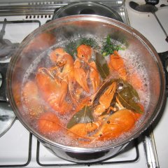 Раки