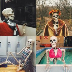 Скелет бывшей