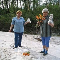 Снег летом