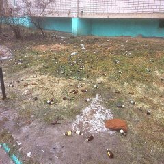 Весна пришла