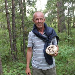 Вовчик