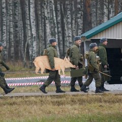 З наших побратимиф