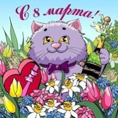 Жасмина