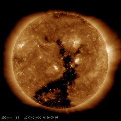 Coronal hole