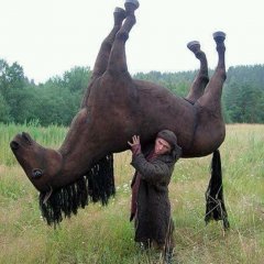 Цска ты пьян