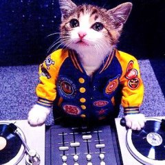 DJ