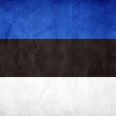 Эстонский флаг