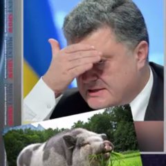 Гарант
