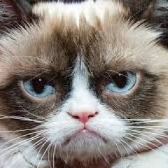 Grumpy
