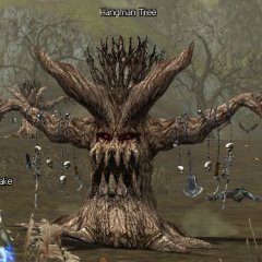 Hangman tree