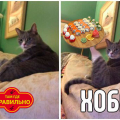 Хоба