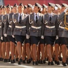 Командир гарема
