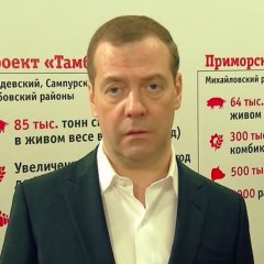 Компот медведева