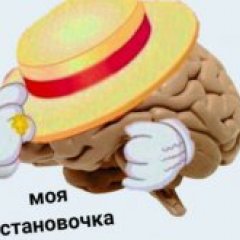 Мозг