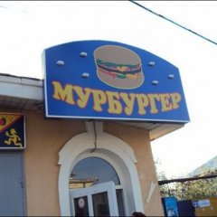 Мурбургер котик
