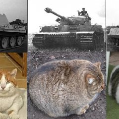 Немецкие инженеры