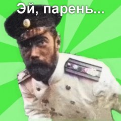 Николай II псс парень