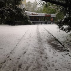 Парапрп