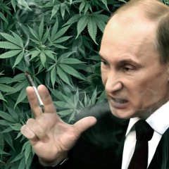 План путина