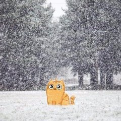 Радуюсь весне